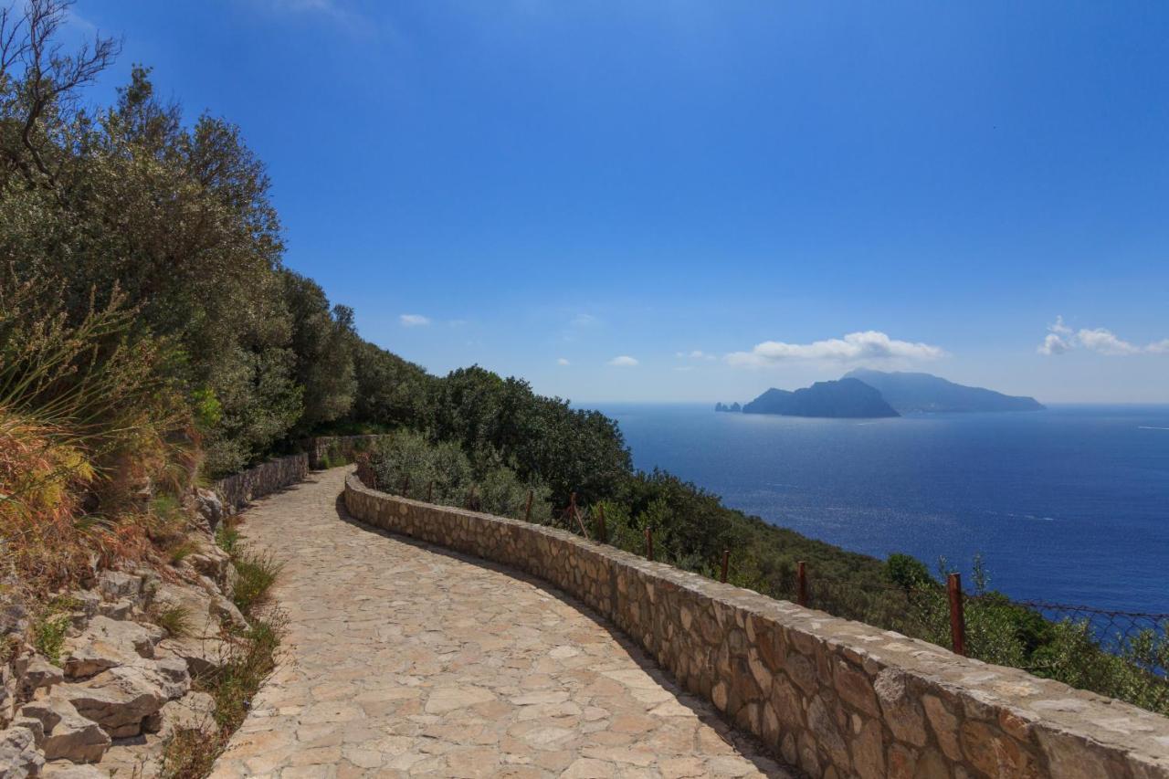 Villa Mariel Suites & Apartment Massa Lubrense Kültér fotó